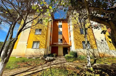 Apartamento com 2 dormitórios à venda, 49 m² por r$ 220.000,00 - santo antônio - são josé dos pinhais/pr