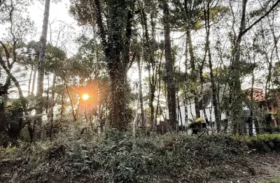 Lote a venda em gramado rs, próximo lago negro com área verde