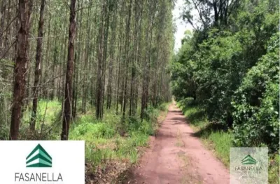 Fazenda à venda na Zona Rural, São Simão 