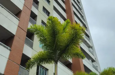 Apartamento com 2 quartos à venda na Rua Professor Samuel Benchimol, 543, Parque 10 de Novembro, Manaus