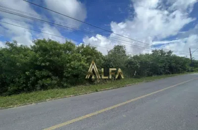 Terreno à venda, 8100 m² por r$ 8.500.000,00 - centro - penha/sc