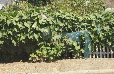 Terreno à venda, 298 m² por r$ 340.000,00 - nossa senhora de fatima - penha/sc
