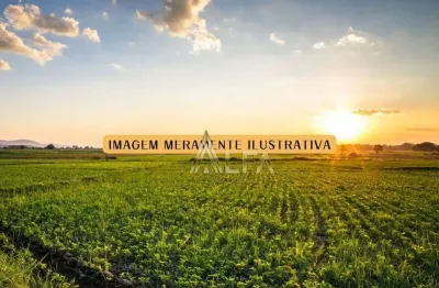 Área à venda, 30000 m² por r$ 18.500.000,00 - santa lidia - penha/sc