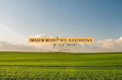 Área à venda, 31.744,39 m² por r$ 5.000.000 - santa lidia - penha/sc