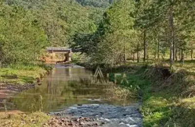 Chácara / sítio com 3 quartos à venda na Estrada Municipal Geral Do Baú, 5, Zona Rural, Ilhota