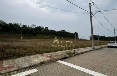 Terreno à venda, 300 m² por r$ 270.000,00 - morro alto - balneário piçarras/sc