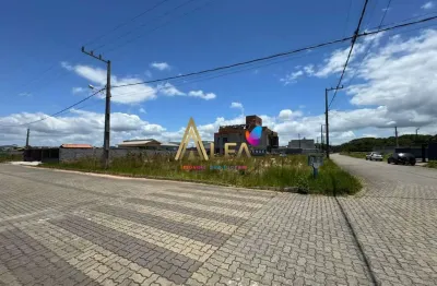 Terreno à venda, 522 m² por R$ 500.000 - Vila Nova - Barra Velha/SC