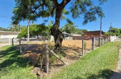 Terreno de Esquina Próximo à Praia da Armação e Beto Carrero – Alto Potencial de Renda