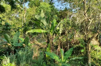 Chácara / sítio à venda na Estrada Cristóvão Machado de Campos, Vargem Grande, Florianópolis