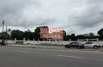 Terreno à venda/locação 35000m², rodovia do tapanã px a augusto mointeegro