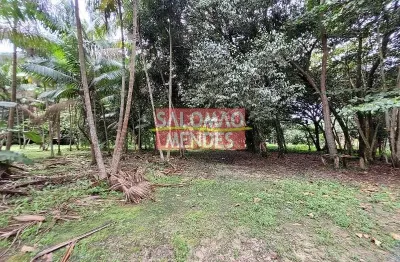 Terreno à venda/locação 35000m², rodovia do tapanã px a augusto mointeegro