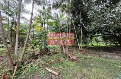 Terreno à venda/locação 35000M², Rodovia do Tapanã px a Augusto Mointeegro