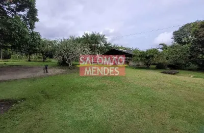 Terreno à venda/locação 35000m², rodovia do tapanã px a augusto mointeegro