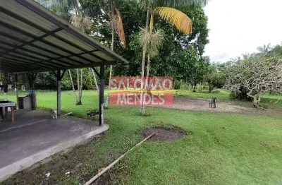 Terreno à venda/locação 35000m², rodovia do tapanã px a augusto mointeegro