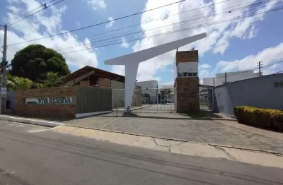 Casa com 4 quartos para alugar na Rua Antonia Medeiros de Noronha, Socopo, Teresina