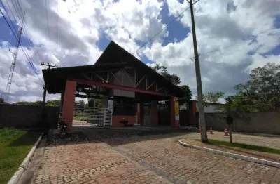 Casa com 4 quartos para alugar na Rodovia BR-343, Novo Uruguai, Teresina