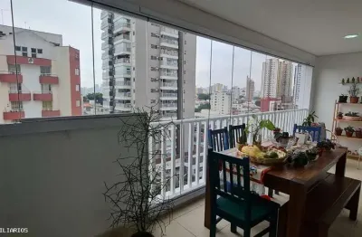 Apartamento para venda em são paulo, cambuci, 3 dormitórios, 2 suítes, 3 banheiros, 2 vagas