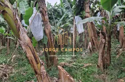 Chácara / sítio com 2 quartos à venda na Zona Rural, Sete Barras 