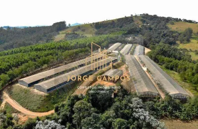 Ga-26288 – venda de granja automatizada de frango em bragança paulista-sp