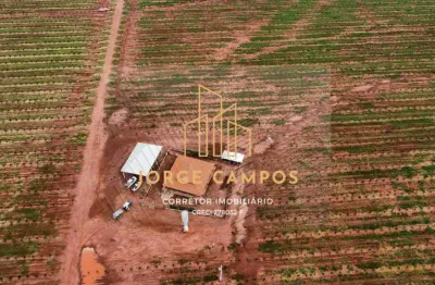 Chácara / sítio com 3 quartos à venda na Zona Rural, Campina Verde 