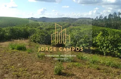 Chácara / sítio à venda na Zona Rural, Lambari 