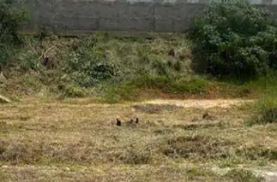 Terreno à venda, 500 m² por r$ 380.000,00 - loteamento comercial bortoletto - indaiatuba/sp