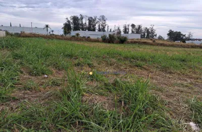 Terreno para alugar, 5086 m² por r$ 7.000,00/mês - europark comercial - indaiatuba/sp