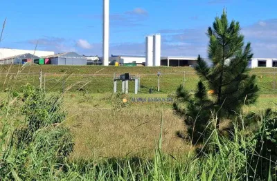 Terreno à venda, 5800 m² por R$ 3.500.000,00 - Distrito Industrial Domingos Giomi - Indaiatuba/SP