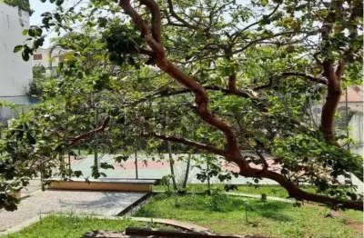 Apartamento com 1 quarto à venda na Rua do Cristal, Vila Mariana, São Paulo
