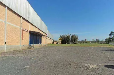 Galpão para alugar, 8000 m² por r$ 148.000,00/mês - neópolis - gravataí/rs