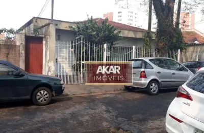 Terreno à venda, 500 m² por r$ 2.400.000,00 - jardim maria adelaide - são bernardo do campo/sp