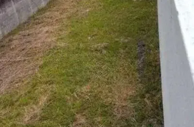 Terreno à venda, 400 m² por r$ 1.349.000,00 - vila assunção - santo andré/sp