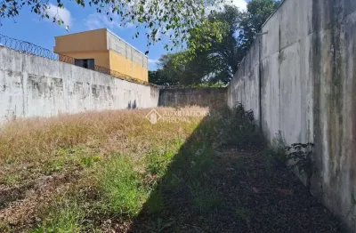 Terreno à venda na Rua Campos do Jordão, 14, Vila Baeta Neves, São Bernardo do Campo