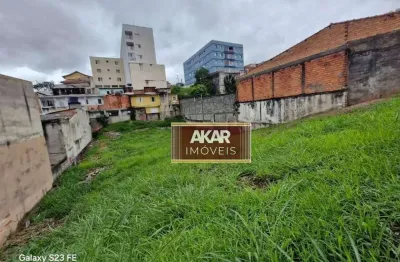 Terreno Residencial à venda, Vila Flórida, São Bernardo do Campo - TE0352.