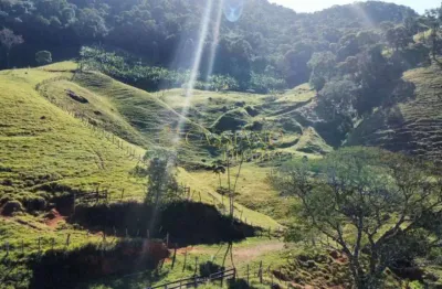 Sítio à venda de 117.000,00m² | centro - são francisco xavier |