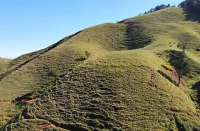 Sítio à venda de 20.000,00m² | centro - são francisco xavier |