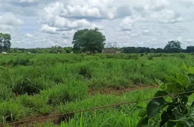 -linda fazenda com toda infraestrutura para criação gado.