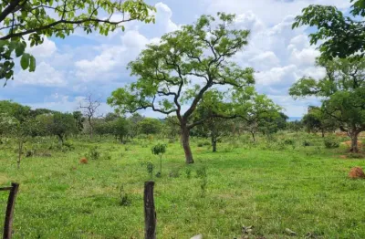 -belíssima chácara, ampla, ótima qualidade de terra, localização privilegiada,  núcleo rural casa grande, ponte alta gama df, linda propriedade com excelente infraestrutura.