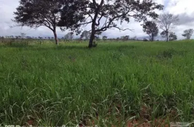 Fazenda 20900 hectares novo são joaquim dupla aptidão  confinamento
