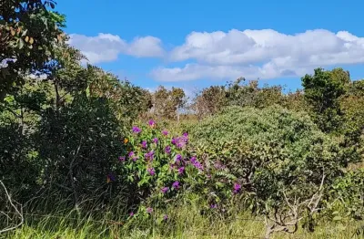 -excelente sítio 96hectares a 60km de brasília, oportunidade de negócio.