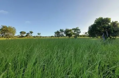 Fazenda com 2 salas à venda na Rua Floriano Lima, 32680, Zona Rural, Arinos