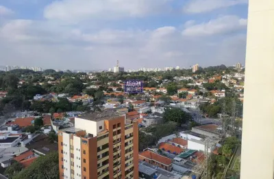 Apartamento para alugar em são paulo, vila hamburguesa, com 3 quartos, 72,00m²