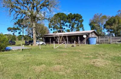 Chácara / sítio com 3 quartos à venda em Criúva, Caxias do Sul 