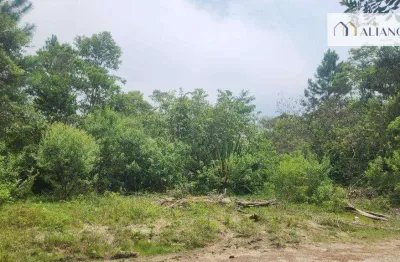 Terreno à venda, 3260 m² por r$ 250.000,00 - parque das garças - santo andré/sp
