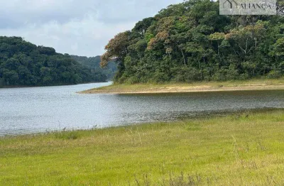 Chácara com 3 dormitórios à venda, 2010 m² por r$ 800.000 - parque das garças - santo andré/sp