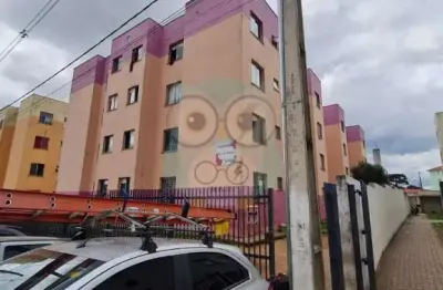 Apartamento para venda,  rio pequeno, são josé dos pinhais - ap300