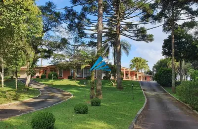 Chácara – terreno 11,6 ha – casa – campina grande do sul