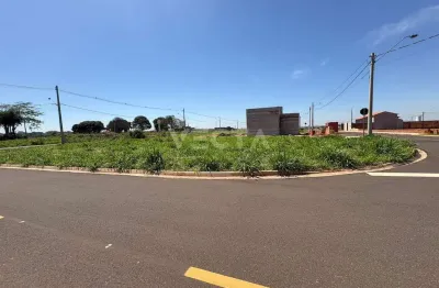 Terreno à venda na Avenida Doutor Nelson Pires de Albuquerque, Jardim Leste, São José do Rio Preto