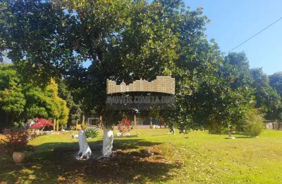 Chácara / sítio com 3 quartos à venda no Centro, Ibiporã 