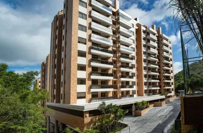 Apartamento com 3 quartos para alugar na Rua Salvatina Feliciana dos Santos, 257, Itacorubi, Florianópolis